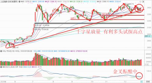 股票002554，深入解析与投资策略