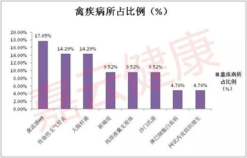 投资分析报告，000787 创智科技