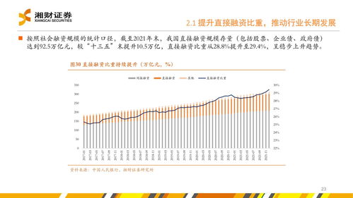 股票发行市场的深度解析与投资策略