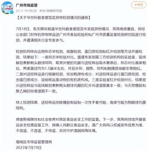 大学生偷东西被学校开除后起诉公安，责任与权利的探讨