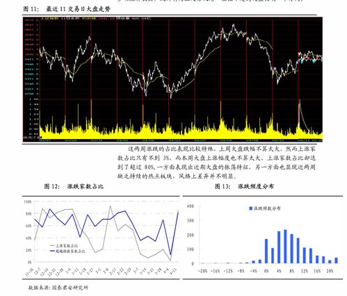 601011宝丰能源股票分析与投资策略