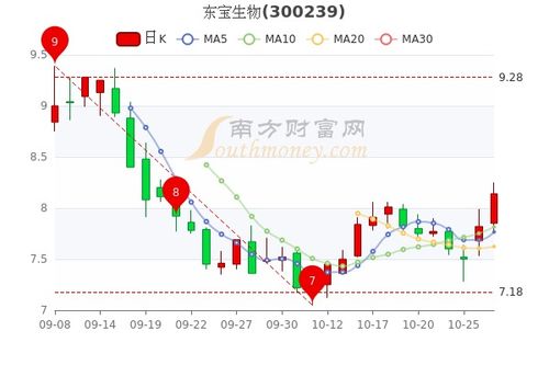 东宝生物股票分析与投资建议