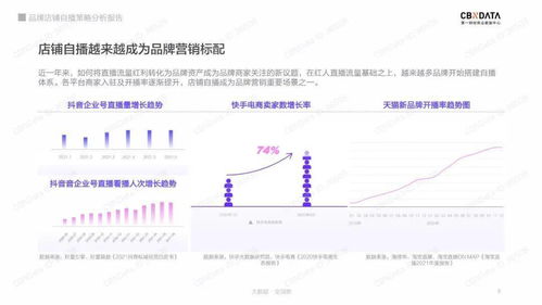 亚玛顿股票投资分析报告