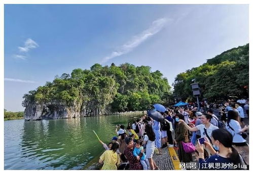 游客来贵阳旅游被嘎腰子？假的！揭秘贵阳旅游真相