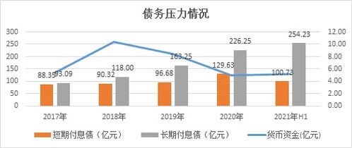 中电投吉电股份投资分析与策略建议