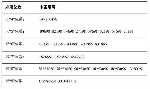 天禾股份中签号解读与投资策略分析