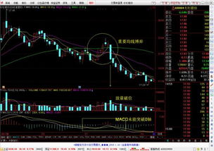 股票分析报告，600884 —— 杉杉股份