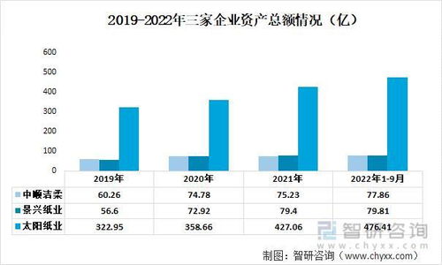 景兴纸业股票分析与投资建议