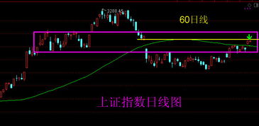 000959 股票分析与投资策略