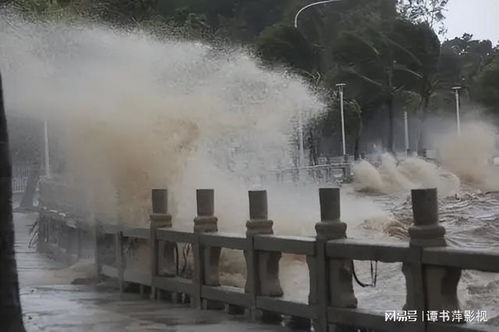 海南大学在台风中痛失校名，逆境中的坚韧与成长