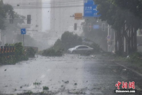 台风摩羯肆虐海南，造成惨重伤亡