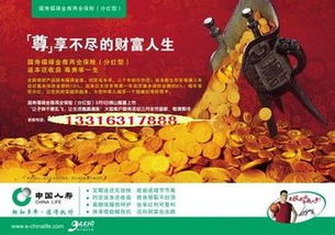 中国人寿福禄金尊，稳健增值与全面保障的智慧选择