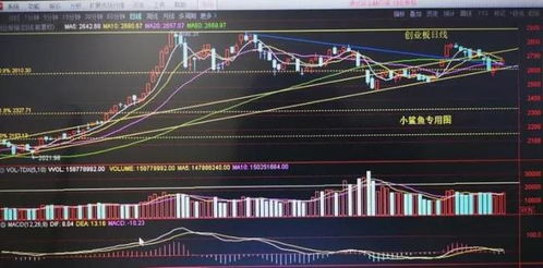 300130股票分析与投资策略建议