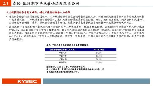 人寿保险有限公司的投资理财策略分析