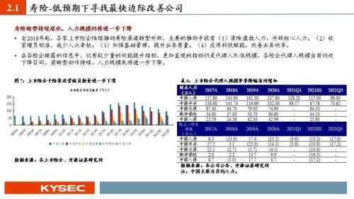 人寿保险有限公司的投资理财策略分析