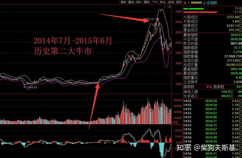 股票增发，企业融资的双刃剑