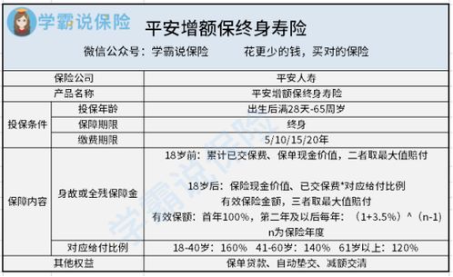 平安保险条款解析与理财规划指南