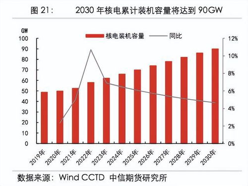 中国核电股票的投资分析与展望