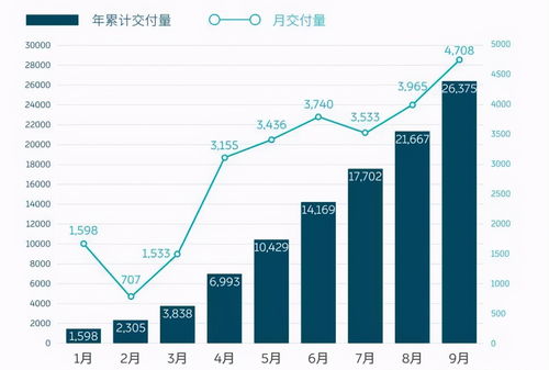 深度解析，搜于特集团股份有限公司的投资价值