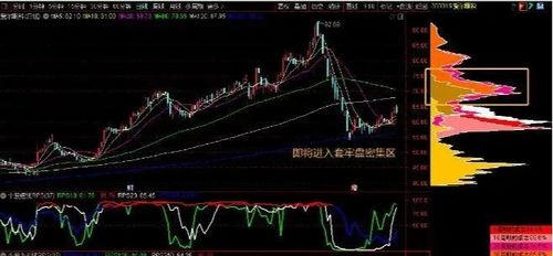 专业视角下的000676股票分析与投资建议