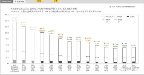 东港股份有限公司投资分析报告