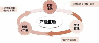 嘉实主题精选基金深度解析与投资策略