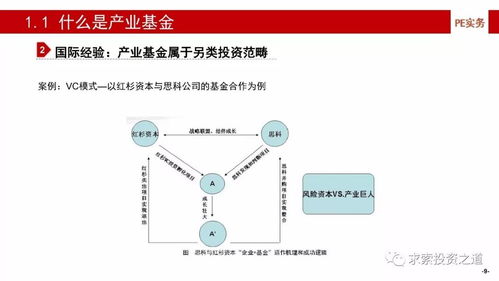 嘉实主题精选基金深度解析与投资策略