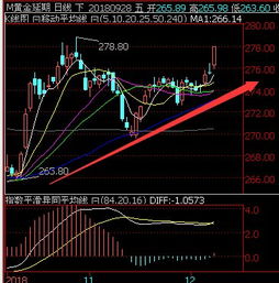 上海黄金交易所行情分析与投资策略