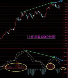 股票300170的投资分析与策略