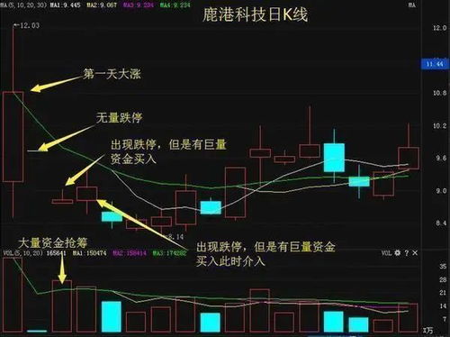 股票技术分析大全，全面掌握市场脉搏