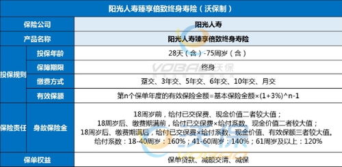 阳光人寿保险公司全面解析