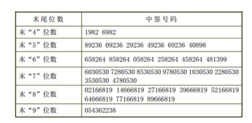 如何解读新股中签号，全面解析与实用指南