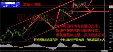 专业解读，300250股票的投资价值分析与策略建议