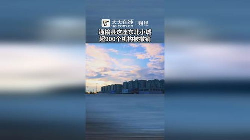 这座东北小城与超900个机构的撤销