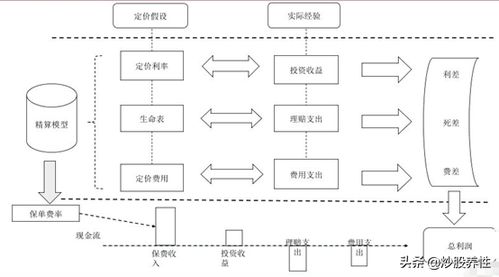 中国平安（601318）的投资分析与策略