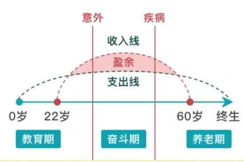 人寿保险与车险，保障生活的两大支柱