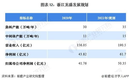 浙江龙盛投资分析报告