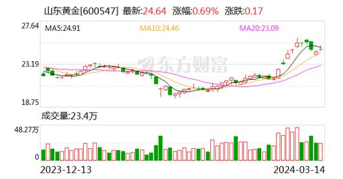 山东黄金矿业股份有限公司投资分析报告