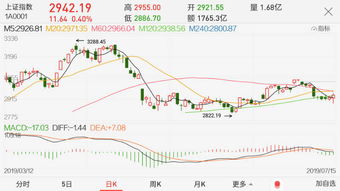 金新农股票分析与投资建议