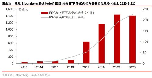 粤电力A股的投资分析与策略