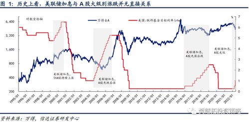 专业视角下的免费推荐股票现象分析