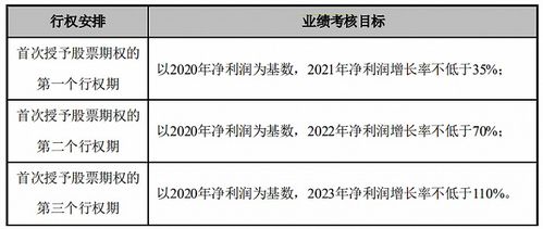 股票期权交易，入门指南与策略解析