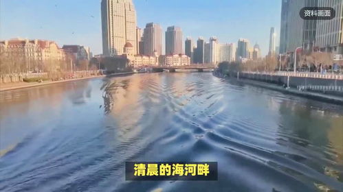 天津某地污水直排海河，真相与误解