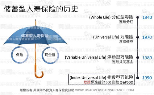 保险公司的类型与选择指南