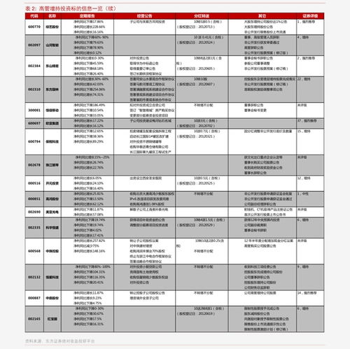 长城信息股票分析与投资策略