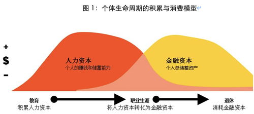 终身养老保险，规划晚年财务安全的智慧选择