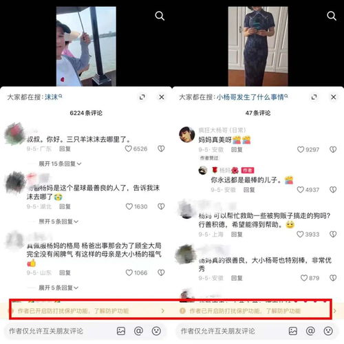 小杨哥已掉粉超两百万背后的真相与反思