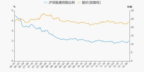 克莉丝汀股票分析报告