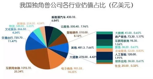 创业板块股票，高风险与高回报并存的投资领域