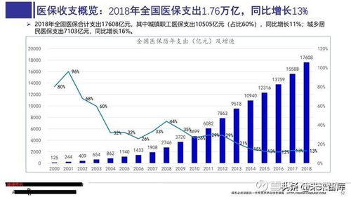 600227股票分析报告，贵州圣济堂医药产业股份有限公司的投资价值探讨